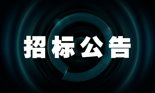 九游国际中心项目--全过程工程造价咨询—招标公告